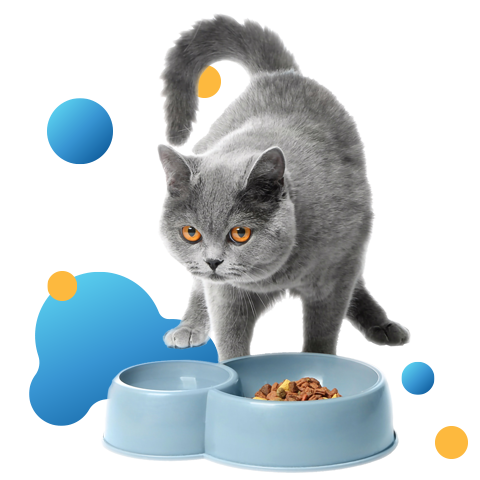 Etetés, itatás, alomürítés