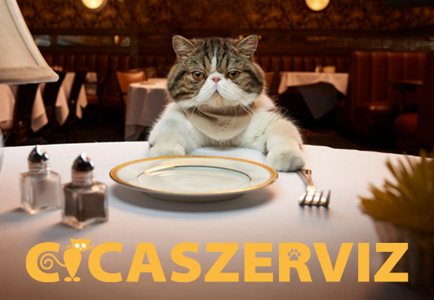 service